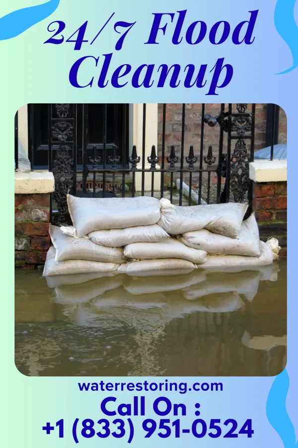 24/7 Flood Cleanup in Nappanee, IN