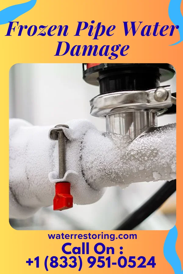 Frozen Pipe Water Damage in Nappanee, IN