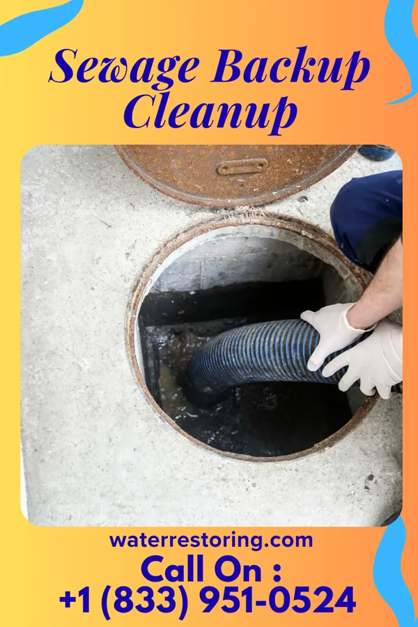 Sewage Backup Cleanup in Nappanee, IN