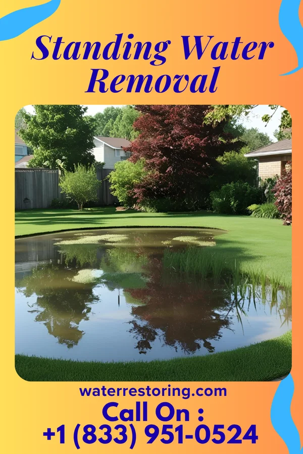 Standing Water Removal in Nappanee, IN